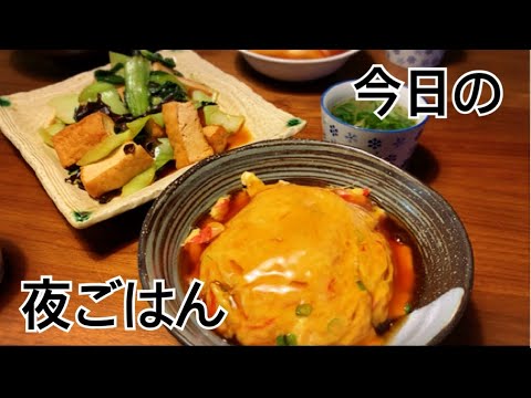 【夜ご飯】味付けが定まらない天津飯と干し海老スープ、厚揚げ炒めを作る簡単料理動画