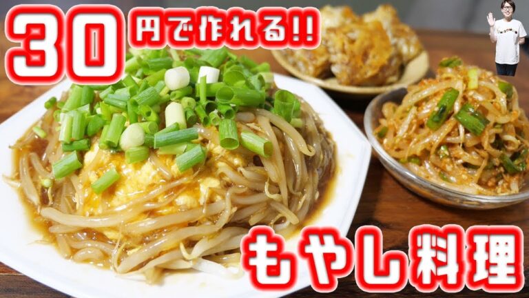 【節約】30円で作れる!おかずにもおつまみにもなる「もやし料理」【kattyanneru】 【節約】30円で作れる!おかずにもおつまみにもなる「もやし料理」【kattyanneru】