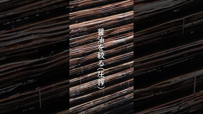 醤油の圧搾(絞る)/Japanese food #shorts #工場見学【kattyanneru】 醤油の圧搾(絞る)/Japanese food #shorts #工場見学【kattyanneru】