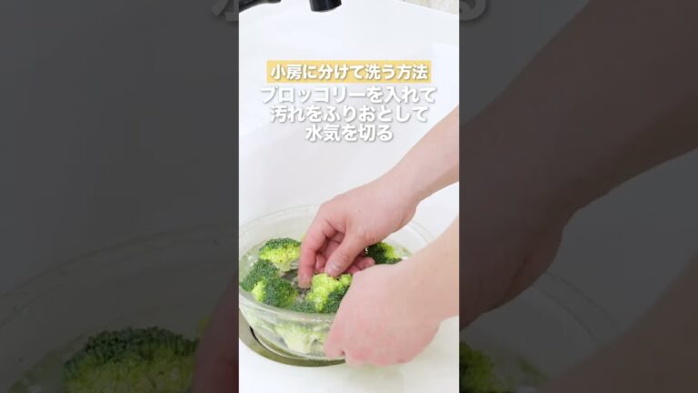 【料理の基本】ブロッコリーの洗い方 #Shorts