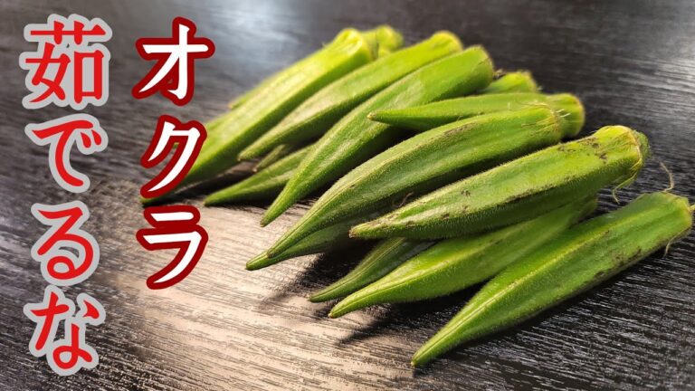 オクラ茹でるな。一番美味しいオクラの食べ方教えます。
