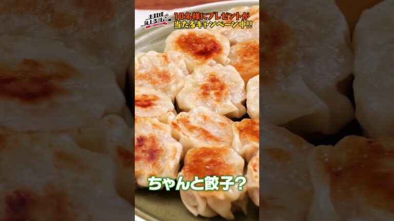 【包丁いらず/包まない】ひとくち餃子に芸人・フルーツポンチが挑戦！ #shorts