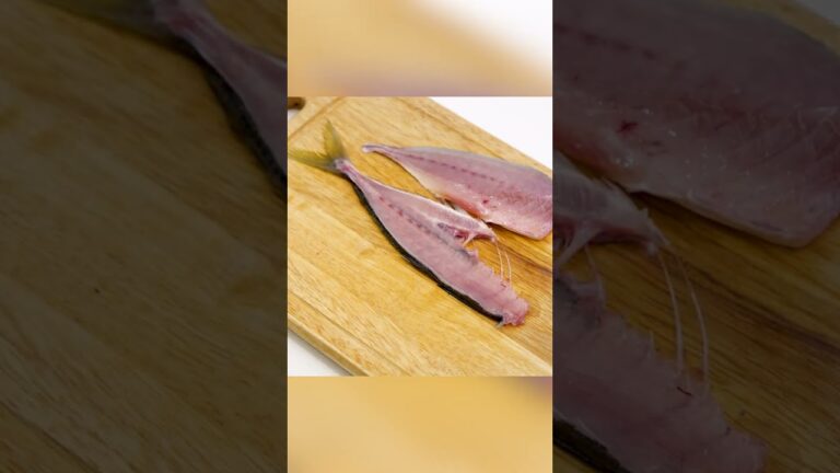 【料理の基本!】アジの大名おろし【ハウツー動画】 #shorts 【料理の基本!】アジの大名おろし【ハウツー動画】 #shorts