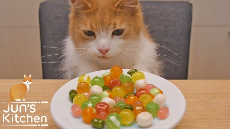 A day in a Japanese candy factory (Kyoto)