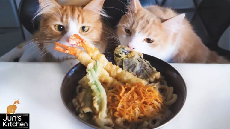 Tempura Udon Noodles