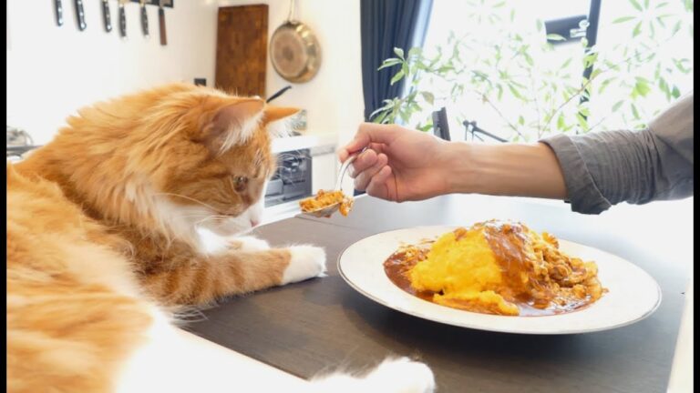 Fluffy Omurice (Japanese Omelette Rice) Fluffy Omurice (Japanese Omelette Rice)