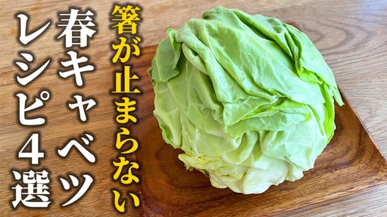 【春キャベツレシピ4選】料理屋が教える！旬の食材を活かすたった２つのポイント【基本の和食】