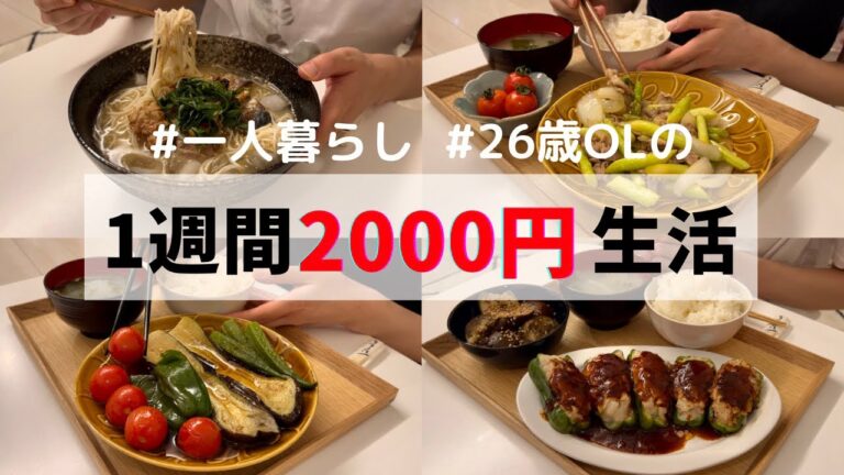 食費1ヶ月1万円の一人暮らし夜ご飯【1週間分紹介】ピーマンの肉詰め🫑夏野菜の焼き浸し🍅素麺レシピetc… 食費1ヶ月1万円の一人暮らし夜ご飯【1週間分紹介】ピーマンの肉詰め🫑夏野菜の焼き浸し🍅素麺レシピetc…