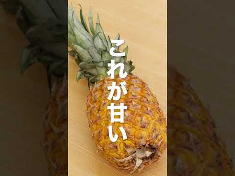 これで完璧!パイナップルの選び方 #Shorts これで完璧!パイナップルの選び方 #Shorts