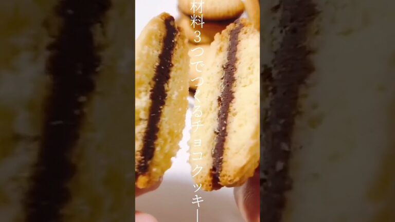 【レシピ】材料3つでつくるチョコクッキー🍪🍫美味しくて何個でも食べられちゃう! #shorts 【レシピ】材料3つでつくるチョコクッキー🍪🍫美味しくて何個でも食べられちゃう! #shorts