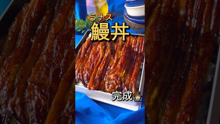 70円の奇跡!鰻丼(うナス丼と読む) 70円の奇跡!鰻丼(うナス丼と読む)