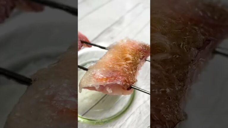 ウロコがパリッパリ！超簡単な和食テクニックで魚を焼いたら楽しすぎた / Super Crunchy! Tilefish Matsukasayaki #shorts