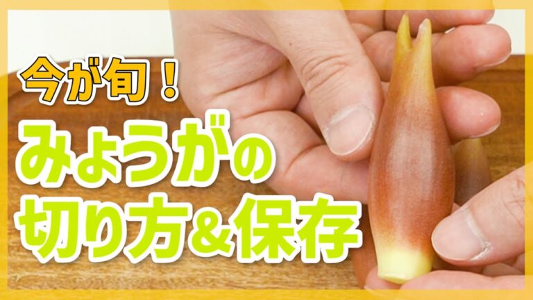 【薬味マスター！】みょうがの切り方と保存方法をプロが解説【千切り・冷凍保存】