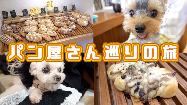 パン好きにはたまらない。わんこと一緒にパン屋さん巡りの旅【kattyanneru】