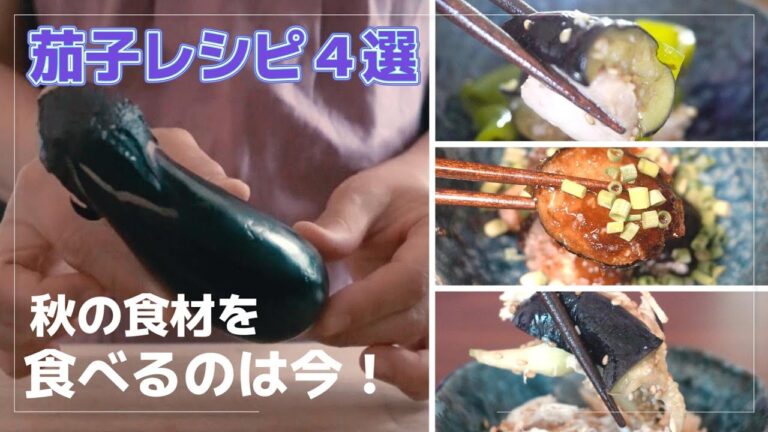 【茄子レシピ４選】絶対におススメ！健康効果も期待できる旬の野菜を使った茄子レシピ！【ASMR】
