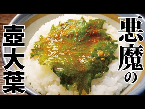 マジで一瞬でご飯が消え失せる旨さ。合法的なヤバい葉っぱ【悪魔の壺大葉】