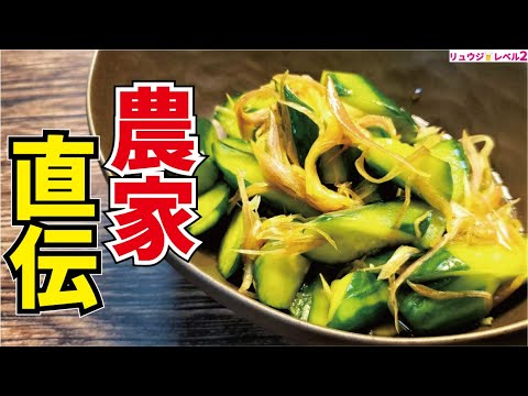 毎日きゅうりを食べてる農家さんがこれだけは食ってほしいと秘伝のレシピを教えてくれました【農家直伝究極のきゅうり漬け】 毎日きゅうりを食べてる農家さんがこれだけは食ってほしいと秘伝のレシピを教えてくれました【農家直伝究極のきゅうり漬け】