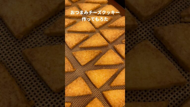 おつまみチーズクッキー作ってもろた #Shorts #おつまみ #レシピ