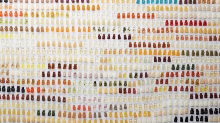 アレンジ100選!並べて可愛いベアグミ アレンジ100選!並べて可愛いベアグミ