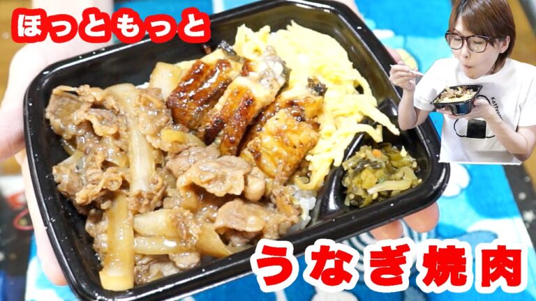 【ほっともっと】うなぎ焼肉コンビを食す!【お弁当】 【ほっともっと】うなぎ焼肉コンビを食す!【お弁当】