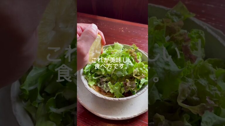 らぁめん風や（FUYA/ラーメン店/ランチ/宮崎県延岡市安賀多町）