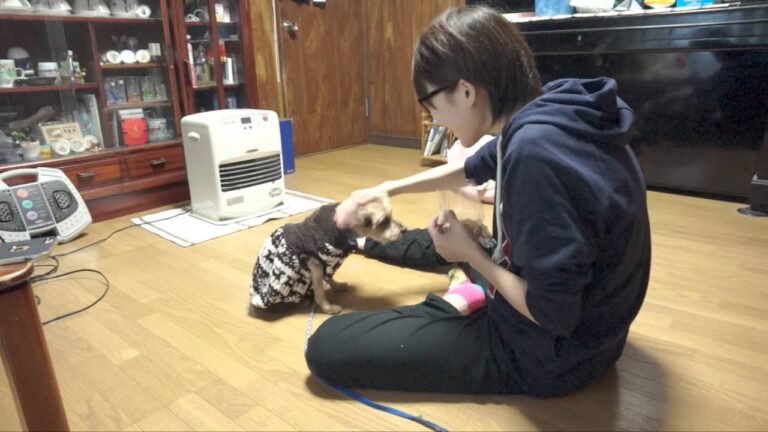 アレンはじめて洋服を着る。そして犬用パンを食す。