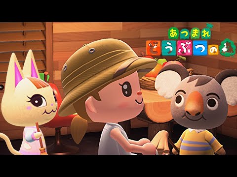 【あつ森参加型】野菜・果物・揃ってます　レシピ交換受け付けております