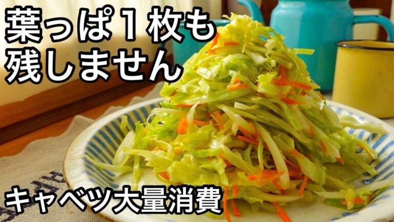 【キャベツ】これさえ冷蔵庫にあれば！超便利で野菜不足解消！半調理でキャベツ料理があっという間
