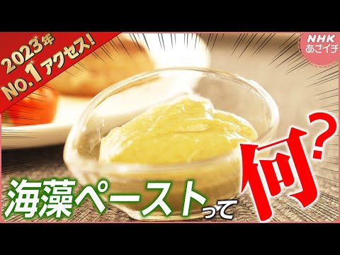 【腸活に!】料理にちょい足し♪海藻ペーストの作り方/血糖値の上昇抑制も | あさイチ | NHK 【腸活に!】料理にちょい足し♪海藻ペーストの作り方/血糖値の上昇抑制も | あさイチ | NHK