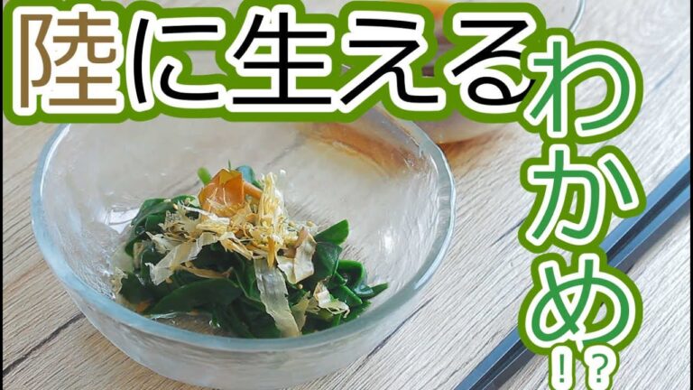 #150 陸に生えるわかめ！？謎のオカワカメ食べてみた