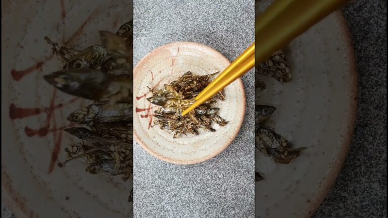 Happy New Year🎉2024年のおせちも無事に三軒分仕上げました💓今年も簡単レシピをたくさんご紹介していきます❣️ #japanesefood #簡単レシピ #おせち料理