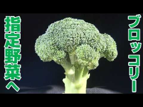 【約50年ぶりに追加】おいしい部分は?|野菜ソムリエの簡単レシピも 【約50年ぶりに追加】おいしい部分は?|野菜ソムリエの簡単レシピも