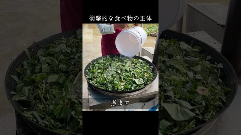 衝撃的な食べ物の正体