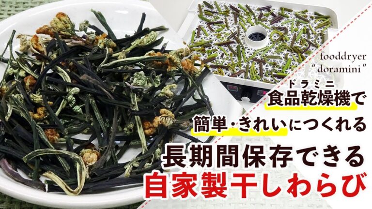 【干し野菜】フードドライヤーで時短！干しわらびの作り方【乾燥わらび】