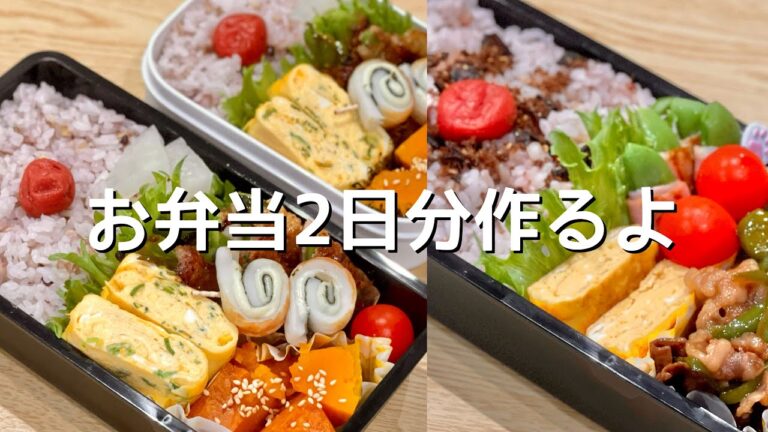 主婦の手作りお弁当の記録👩🏻🍳🎃