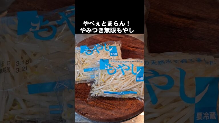 もやし2袋なんてペロリ！簡単やみつき無限もやし 作り置きレシピ