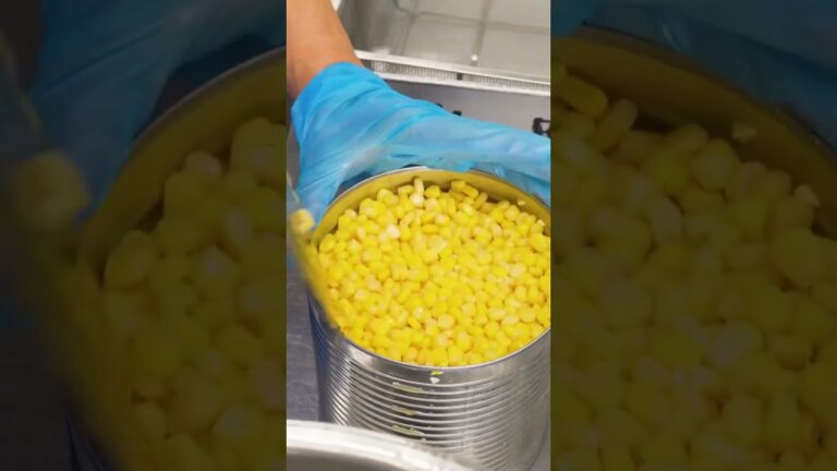 【学校給食】海藻サラダ#給食 #schoollunch #学校 【学校給食】海藻サラダ#給食 #schoollunch #学校