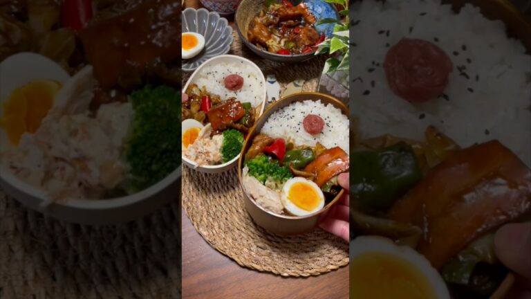 たんぱく質が摂れる【夫婦ダイエット弁当】【野菜たっぷりホイコーロー弁当】 #お弁当 #お弁当おかず #ダイエット #簡単レシピ