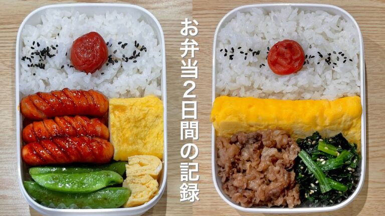 【3品を極めたシンプルなお弁当】たった3品…だがそれでいいっ!