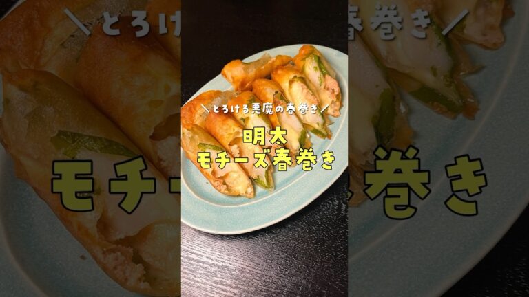 これが僕の最終兵器です。100人中96人が旨いと言う【とろける悪魔の春巻】がヤバすぎる#shorts #リュウジ #料理