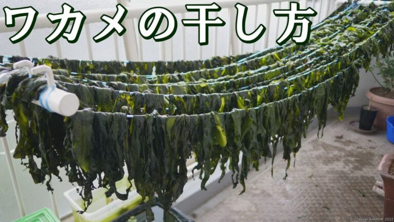 生わかめを1年中楽しむ方法 生わかめを1年中楽しむ方法