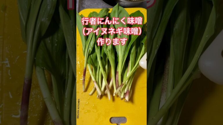 【山菜レシピ】行者にんにくレシピ。アイヌネギレシピ#shorts #グルメ #オホーツク海 #ランチ #オホーツク #北海道グルメ #千歳基地 #料理#レシピ#道東 #レシピ動画 【山菜レシピ】行者にんにくレシピ。アイヌネギレシピ#shorts #グルメ #オホーツク海 #ランチ #オホーツク #北海道グルメ #千歳基地 #料理#レシピ#道東 #レシピ動画