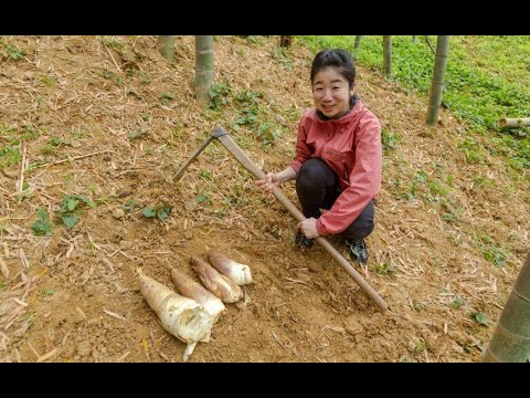 【生配信】たけのこ料理3品作ります! 【生配信】たけのこ料理3品作ります!