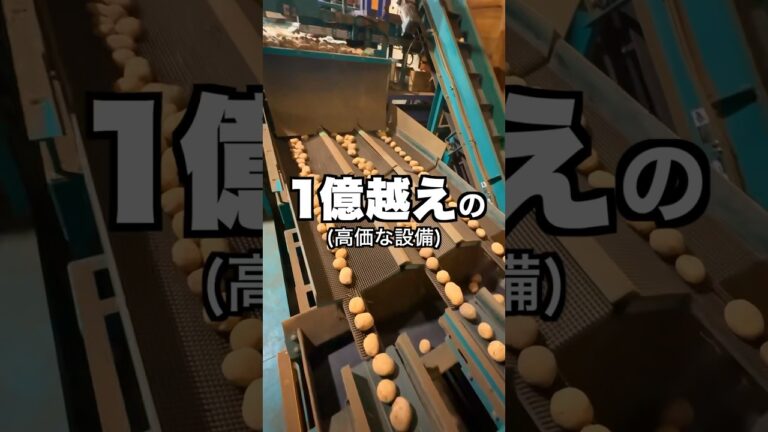 【ポテト好きにみてほしい🥔】1億円越え‼︎滅多に見られへん北海道で見た貴重な映像#shorts
