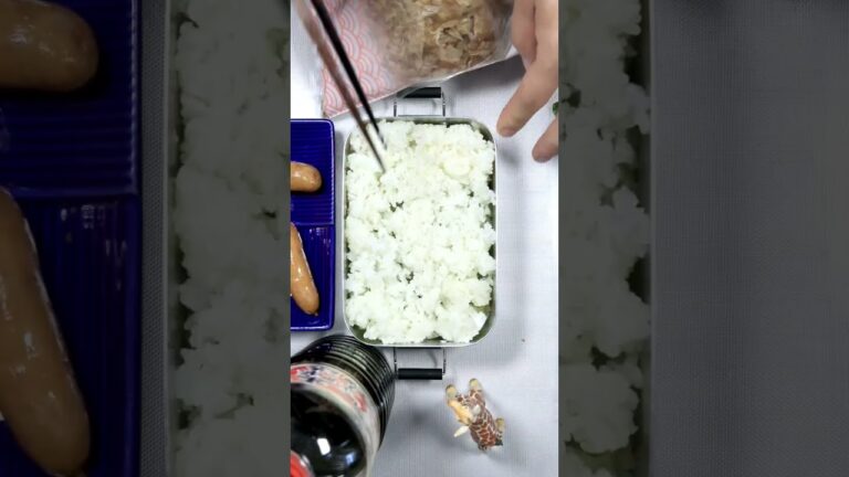 【のり弁】#料理 #自炊 #お弁当 #lunchbox #bento #弁当