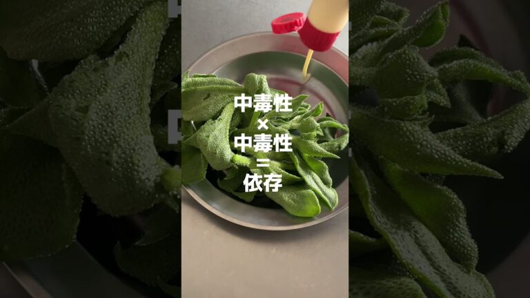 アイスプラントの育て方知りたい#野菜生活#ヘルシーレシピ #簡単料理 #ヘルシーフード#ダイエット食品 #アイスプラント#野菜