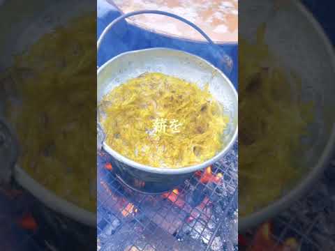 【衝撃】無人島の海藻に恋をしてしまった男の末路…