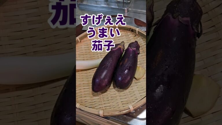 ご飯泥棒!無限ナス味噌炒め!茄子簡単おかずおつまみレシピ なす ご飯泥棒!無限ナス味噌炒め!茄子簡単おかずおつまみレシピ なす