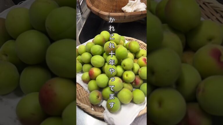 仕込んで3日目から飲める梅ジュース