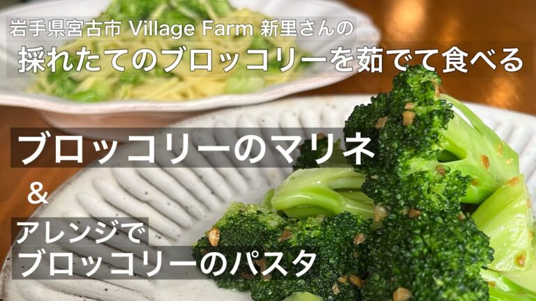 野菜料理の店が教える「ブロッコリーのマリネとアレンジパスタ」